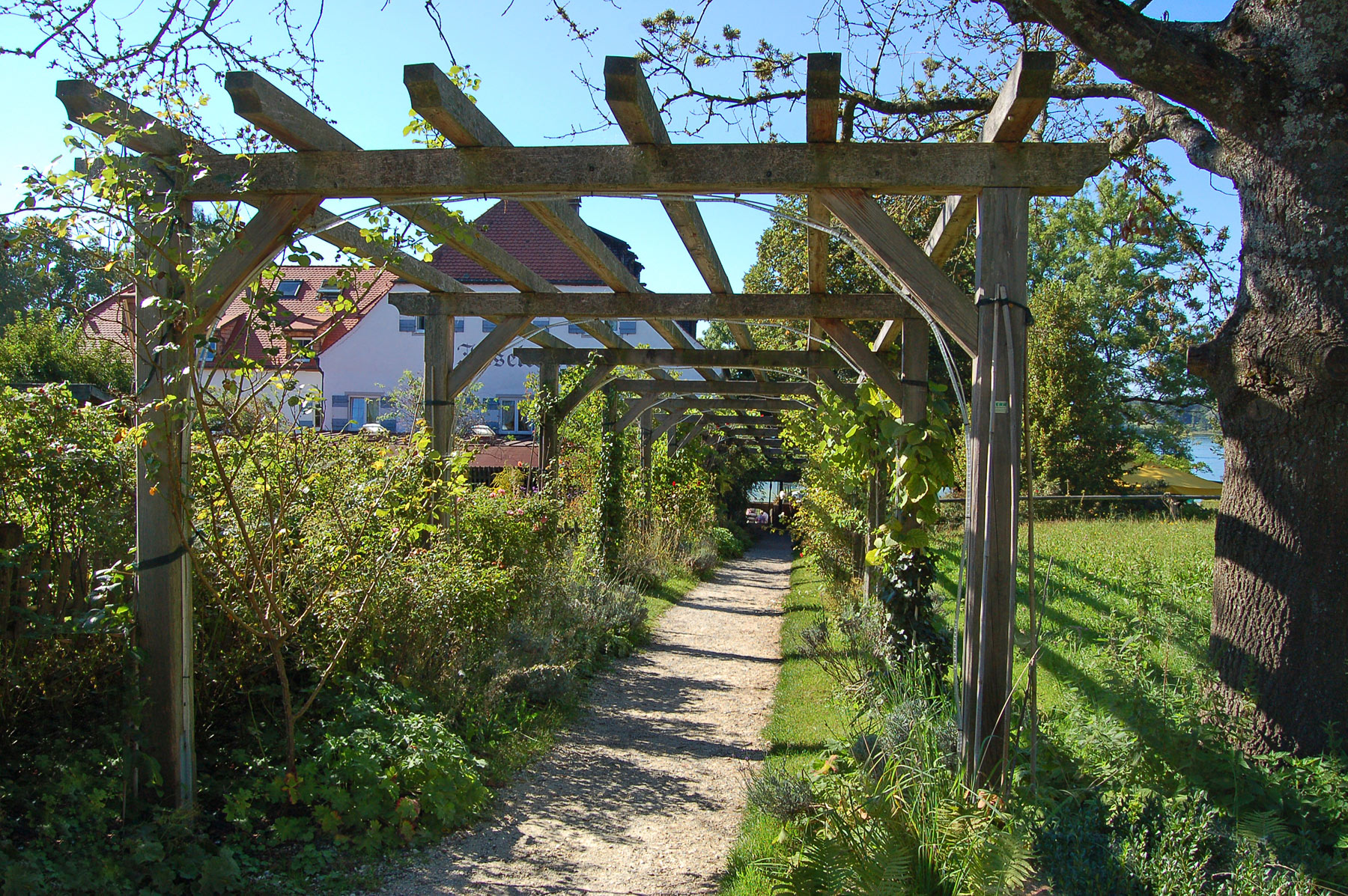 Frauenchiemsee